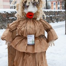 Šiauliuose, Kaštonų alėjoje, vyko  baisiai gražios morės rinkimai