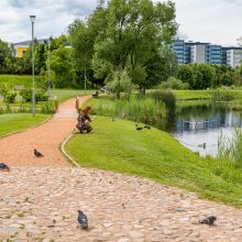 Vilniaus šienavimo sezonas: tarp patogumo miestiečiams ir tvarumo