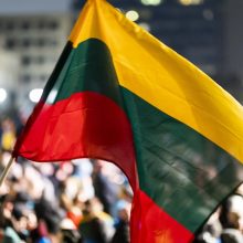 JAV tyrimų grupė: Nepaisant iššūkių, demokratijos padėtis Lietuvoje išliko stabili