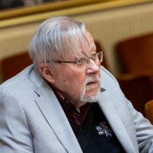 V. Landsbergis kritikuoja Medininkų žudynių tyrimą, tikisi nepriklausomo įvertinimo