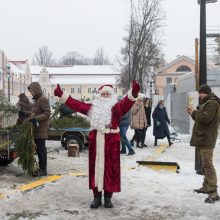 Tūkstančiai kauniečių į namus parsinešė mišku kvepiančias Kalėdas