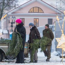 Tūkstančiai kauniečių į namus parsinešė mišku kvepiančias Kalėdas