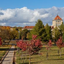 Nemuno saloje – sakurų grožis: akį traukia ne tik pavasarį, bet ir rudenį