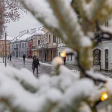 Vilniaus gatvė: ar ne per anksti liejasi kritika?