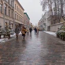 Vilniaus gatvė: ar ne per anksti liejasi kritika?