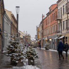 Vilniaus gatvė: ar ne per anksti liejasi kritika?