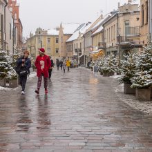 Vilniaus gatvė: ar ne per anksti liejasi kritika?