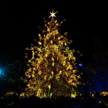 Žingsnis link Kalėdų: įžiebta žvaigždėmis puošta Kauno eglutė!