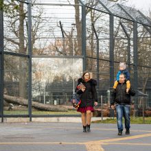 Pirmųjų Zoologijos sodo lankytojų įspūdžiai: gražu, tvarkinga, akį traukia egzotiniai gyvūnai