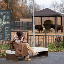 Pirmųjų Zoologijos sodo lankytojų įspūdžiai: gražu, tvarkinga, akį traukia egzotiniai gyvūnai