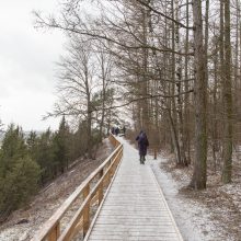 Atnaujinto Kadagių tako lankytojai: čia gražu bet kokiu oru