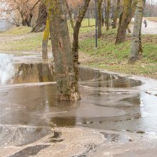 Pasigrožėkite: Santakos parke karaliauja Nemuno ir Neries vanduo