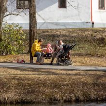 Į VDU Botanikos sodą – tropinių drugių