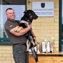 Čempionate išrinktas geriausias pasieniečių šuo: susipažinkite – tai Orin Saulės Vilkas
