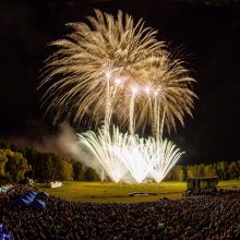 Seime – siūlymas nedrausti galingų fejerverkų, bet griežtinti „bambioškių“ prekybą