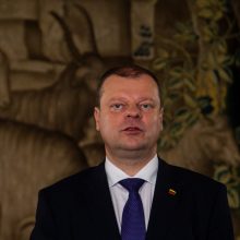 S. Skvernelis: R. Karbauskis turėtų pasitikrinti pasitikėjimą partijoje