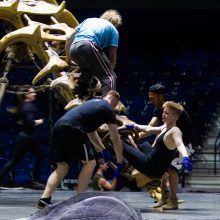 „Siemens“ arenoje įsikūrusi „Cirque du Soleil“ trupė parodė užkulisius