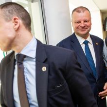 S. Skvernelio Vyriausybei Seimas iš naujo suteikė įgaliojimus