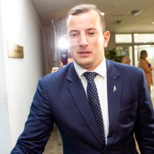 S. Skvernelio Vyriausybei Seimas iš naujo suteikė įgaliojimus