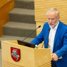 S. Skvernelio Vyriausybei Seimas iš naujo suteikė įgaliojimus