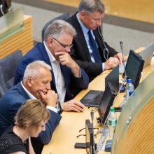 S. Skvernelio Vyriausybei Seimas iš naujo suteikė įgaliojimus