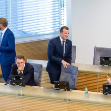 S. Skvernelio Vyriausybei Seimas iš naujo suteikė įgaliojimus