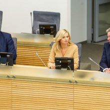 S. Skvernelis: gal J. Narkevičius bus geresnis ministras nei R. Masiulis