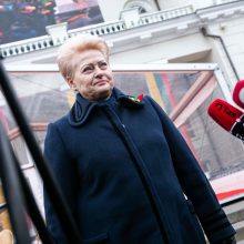 D. Grybauskaitė apie diskusijas dėl Vokietijos brigados: tai daro politinę gėdą valstybei