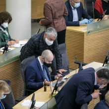 Socialdemokratai: Vyriausybė gyvena savo rožinį gyvenimą