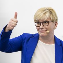 Konservatoriai į Seimo rinkimus eis žadėdami kurti pasitikėjimą valstybe