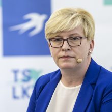 Konservatoriai į Seimo rinkimus eis žadėdami kurti pasitikėjimą valstybe