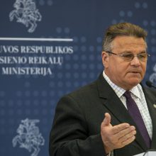 Ministras: S. Cichanouskajos vaizdo įrašų turiniui įtaką darė valdžios spaudimas