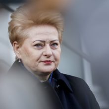 Valdantiesiems – D. Grybauskaitės kritika dėl viruso krizės valdymo