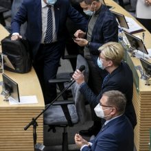 Seimas pradėjo diskusijas dėl I. Šimonytės kandidatūros į premjerus