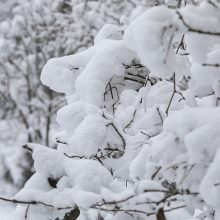 Sostinei – sniego iššūkiai: kelininkai dirbo visą naktį