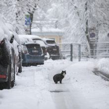 Sostinei – sniego iššūkiai: kelininkai dirbo visą naktį