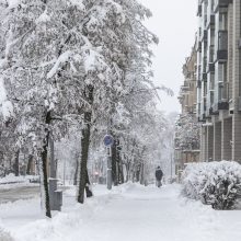 Sostinei – sniego iššūkiai: kelininkai dirbo visą naktį