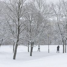 Sostinei – sniego iššūkiai: kelininkai dirbo visą naktį