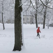 Sostinei – sniego iššūkiai: kelininkai dirbo visą naktį