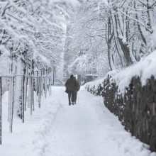 Sostinei – sniego iššūkiai: kelininkai dirbo visą naktį