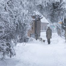 Sostinei – sniego iššūkiai: kelininkai dirbo visą naktį