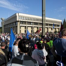 Protestas neapsiėjo be incidentų: sumuštas žmogus, sulaikyti du girti ir vienas su narkotikais