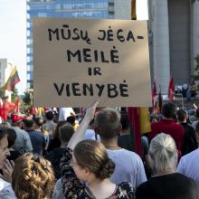 Protestas neapsiėjo be incidentų: sumuštas žmogus, sulaikyti du girti ir vienas su narkotikais