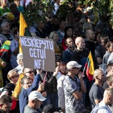 Protestas neapsiėjo be incidentų: sumuštas žmogus, sulaikyti du girti ir vienas su narkotikais