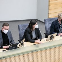 Seimas baigė pratęstą rudens sesiją: ši sesija buvo išskirtinė