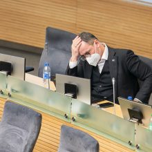 Seimas baigė pratęstą rudens sesiją: ši sesija buvo išskirtinė