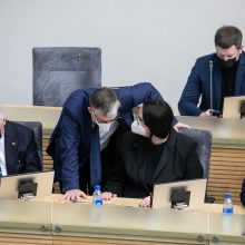 Seimas baigė pratęstą rudens sesiją: ši sesija buvo išskirtinė