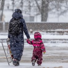 Pasiilgusiems baltos žiemos – gera žinia: sniego porcija jau atkeliauja