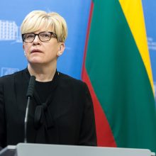 I. Šimonytė apie Zaporižios AE apšaudymą: Putino kariaunai nėra jokių ribų