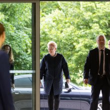 D. Grybauskaitė: ekonominė krizė neišvengiama